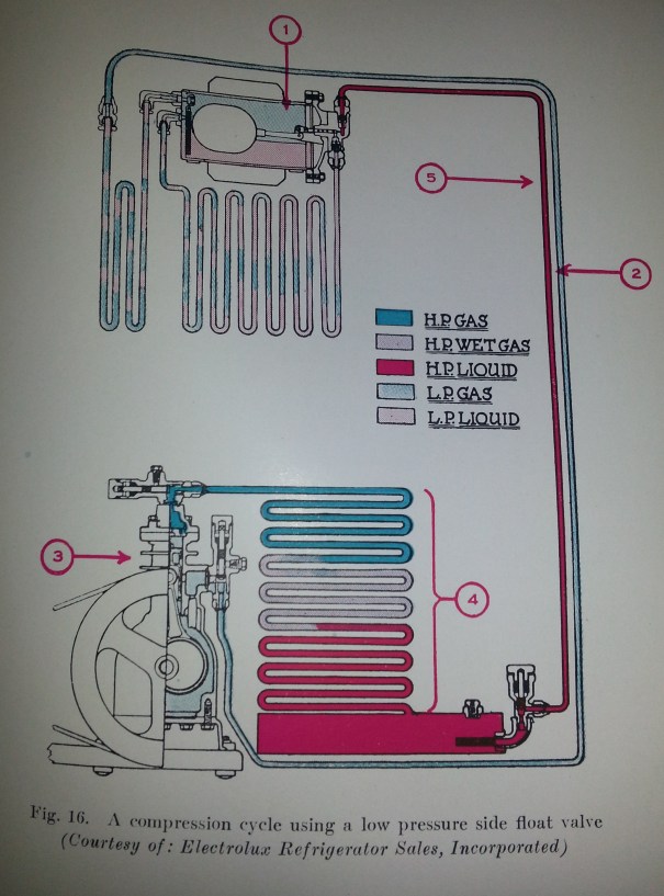 Electrolux_Cycle_Color