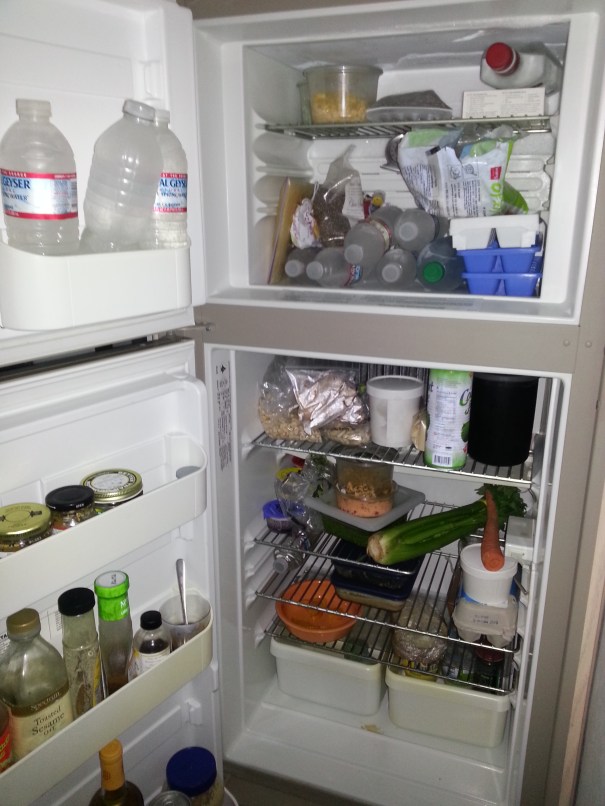 motorhome refrigerator